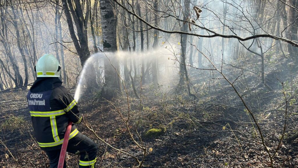 Ordu’da son bir haftada 40 yangın – Birlik Haber Ajansı