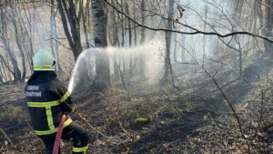 Ordu’da son bir haftada 40 yangın – Birlik Haber Ajansı