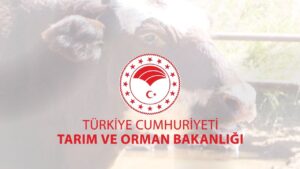 Tarım ve Orman Bakanlığı, şap hastalığının kontrol altına aldığını açıkladı – Birlik Haber Ajansı