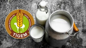 TİGEM 2026 yılı için 74 bin 665 ton sütü ihaleyle satacak – Birlik Haber Ajansı