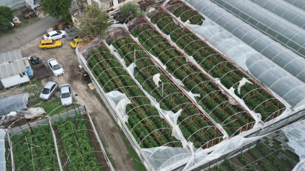 Demre’de hortum felaketi: Kapalı tarım alanlarında seralar zarar gördü – Birlik Haber Ajansı