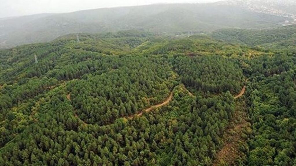Türkiye’de doğal sit alanı 28 bin 907 kilometrekareye yükseldi – Birlik Haber Ajansı