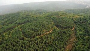 Türkiye’de doğal sit alanı 28 bin 907 kilometrekareye yükseldi – Birlik Haber Ajansı