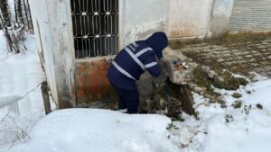 Dondurucu soğukta su mesaisi