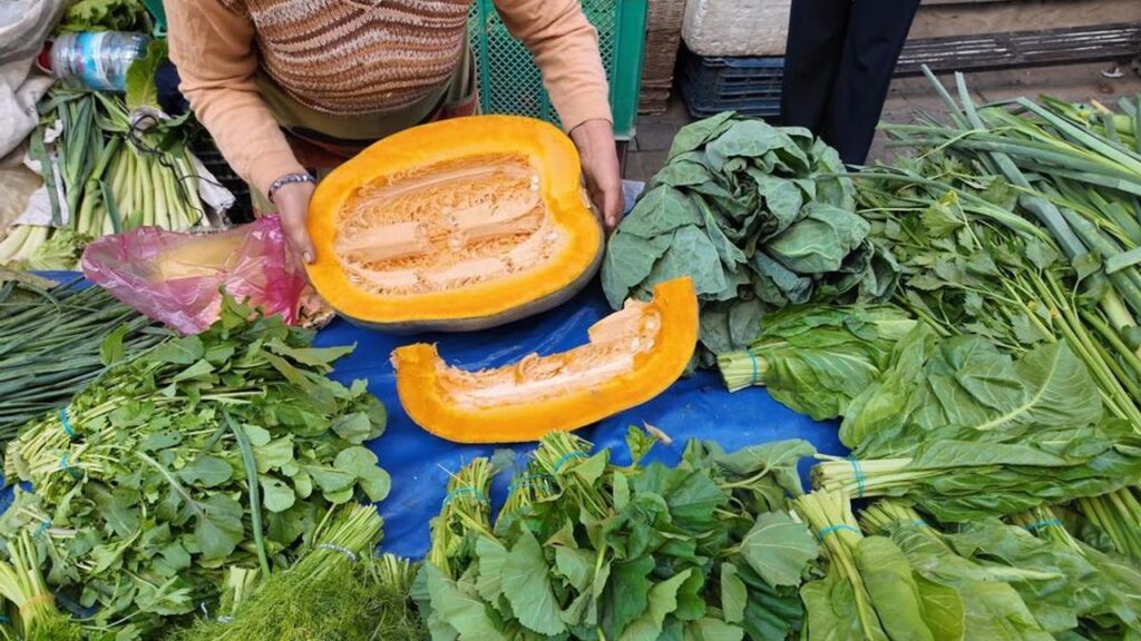 Aydın’da bal kabağı sezonu açıldı – Birlik Haber Ajansı