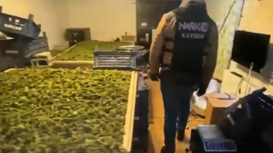 65 ilde narkotik operasyonu: 768 şüpheli yakalandı – Birlik Haber Ajansı