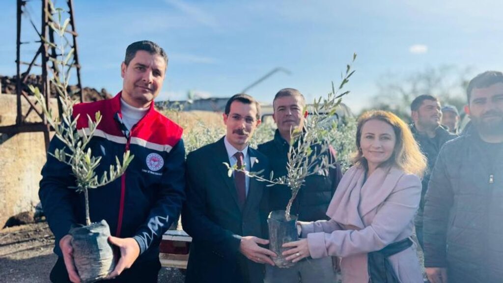 Bozdoğan’da 8 bin 700 fidan dağıtıldı – Birlik Haber Ajansı