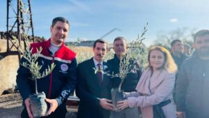 Bozdoğan’da 8 bin 700 fidan dağıtıldı – Birlik Haber Ajansı