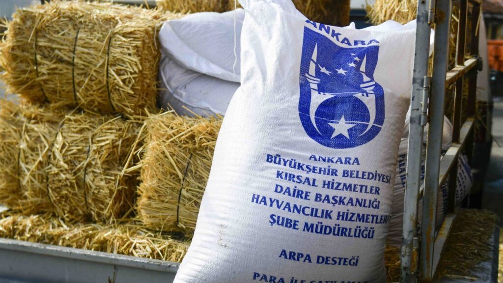 ABB’nin kırsal kalkınma destekleri sürüyor – Birlik Haber Ajansı