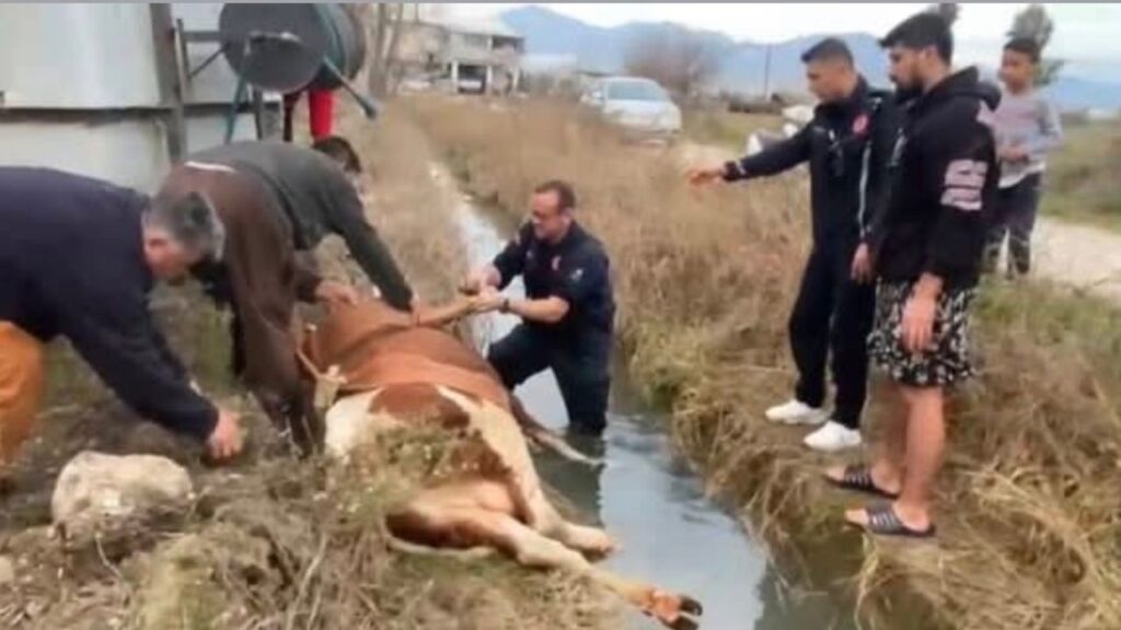 Serik’te itfaiyeden hayat kurtaran müdahale