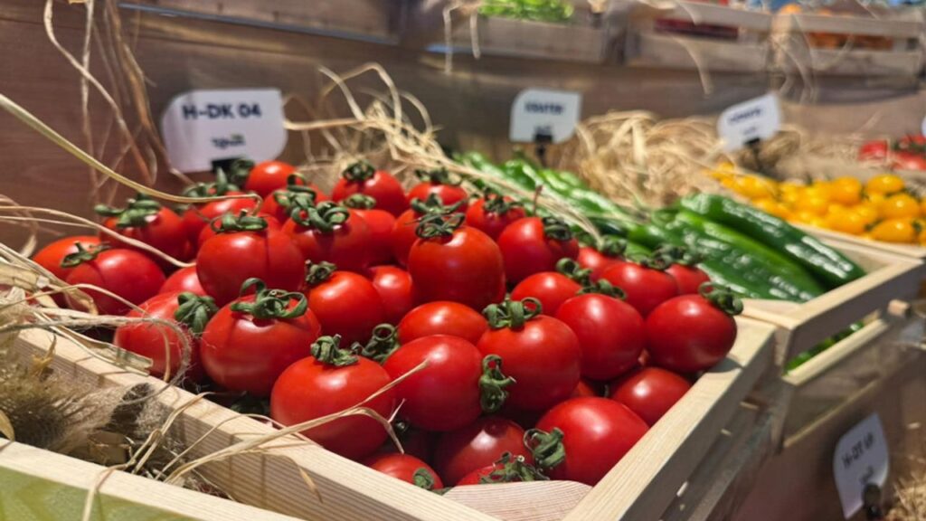 Türkiye tohumda ihracatçı ülke konumunu güçlendirdi – Birlik Haber Ajansı