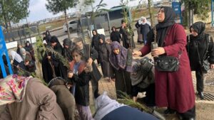 Batman’a ücretsiz fidan dağıtımı – Birlik Haber Ajansı