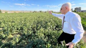 Prof. Dr. Mehmet Haberal, uyarıyor: Üretmeyen aç kalır, başkalarına muhtaç olur – Birlik Haber Ajansı