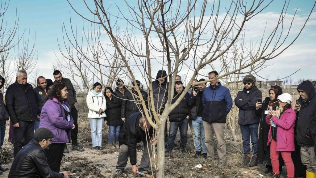 ABB’den meyve ağaçlarının gelişimine destek – Birlik Haber Ajansı