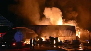 Adana’da parke ve panel üretilen fabrikada yandı… – Birlik Haber Ajansı