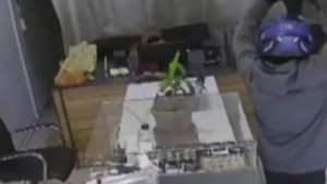 Hatay’da Film Gibi Soygun: 3 Dakikada 3 Kilo Altın – Birlik Haber Ajansı