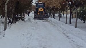 Eyyübiye’de sokak sokak kar temizliği – Birlik Haber Ajansı