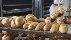 Halk ekmek 5 yeni ekşi mayalı ekmek daha üretti – Birlik Haber Ajansı