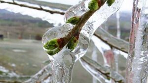 Antalya’da yayla dondu – Birlik Haber Ajansı