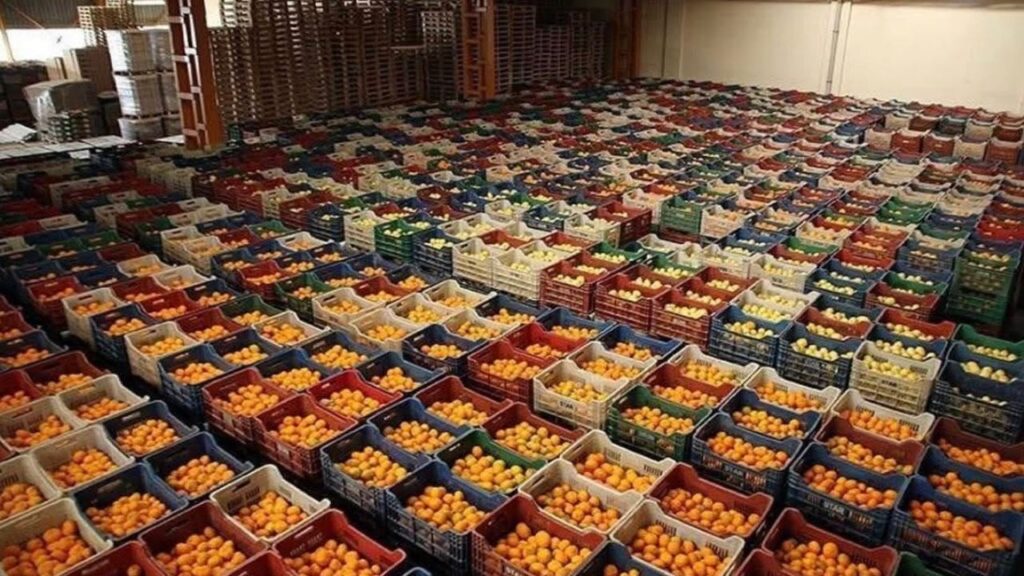 Antalya ihracatının yüzde 57’si tarımdan – Birlik Haber Ajansı