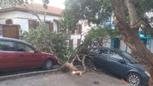 Antalya Kaş’ta fırtınanın izleri gün ağarınca ortaya çıktı – Birlik Haber Ajansı