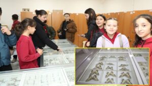 ISUBÜ Ziraat Fakültesi Böcek müzesinde 30 bin böcek örneği sergileniyor – Birlik Haber Ajansı