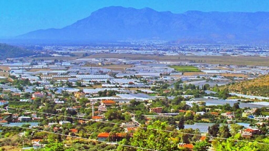 Sahil kesimdeki örtü altı üreticilere soğuk hava uyarısı – Birlik Haber Ajansı