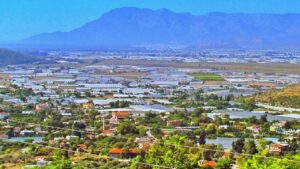 Sahil kesimdeki örtü altı üreticilere soğuk hava uyarısı – Birlik Haber Ajansı