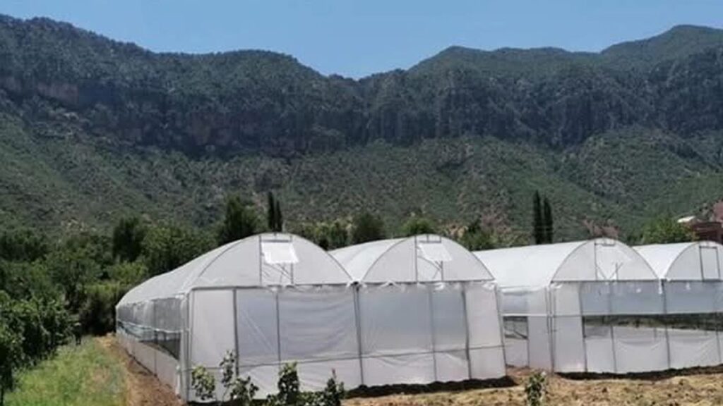 Seralarda yıkım hasat sonrasına ertelendi – Birlik Haber Ajansı