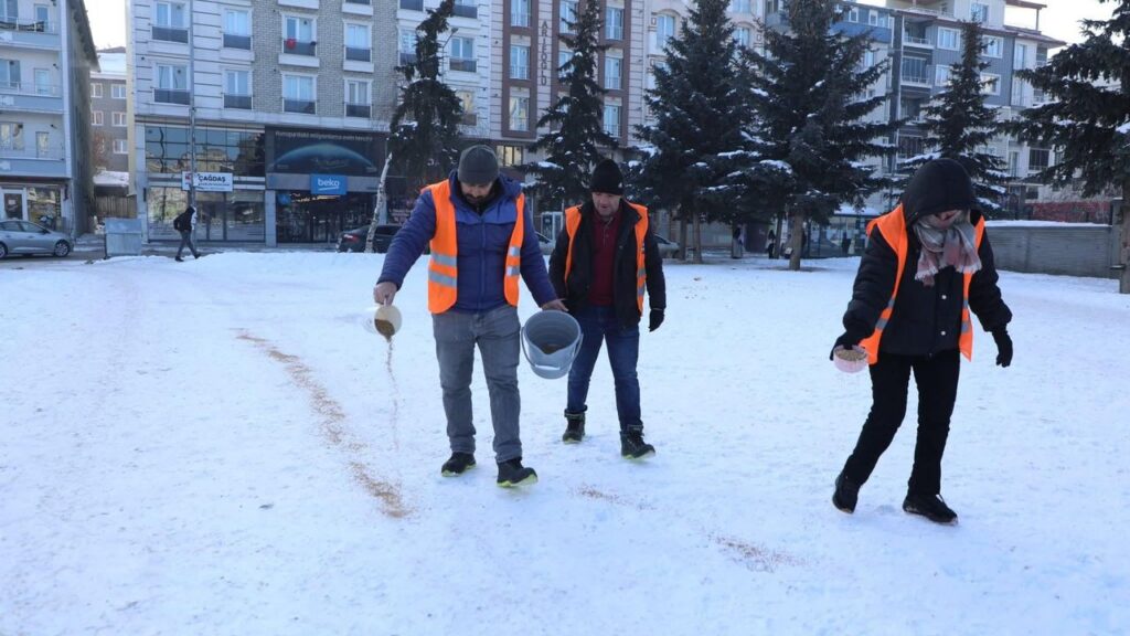 Kars Belediyesi’nden şefkat eli: Kanatlı dostlar unutulmadı – Birlik Haber Ajansı