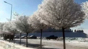 Tufanbeyli’de eksi 15 derecede kartpostallık manzara oluştu – Birlik Haber Ajansı