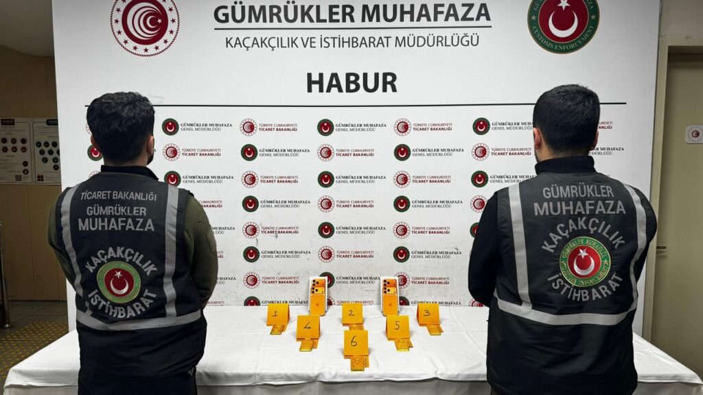 Habur Gümrük Kapısı’nda 41 kilogram altın ele geçirildi – Birlik Haber Ajansı