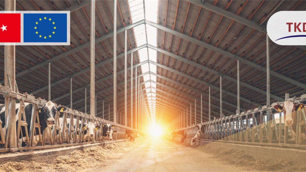 Tarımda, 214 projeye 1,7 milyar lira hibe verilecek – Birlik Haber Ajansı