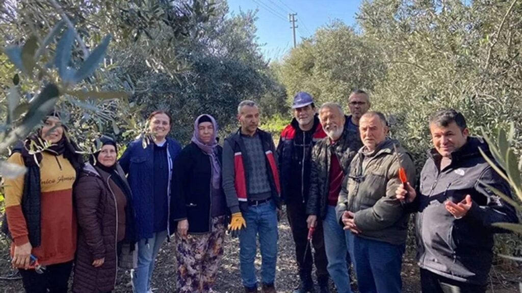 Antalya Serik’te meyve budama ve terbiye kursu verildi – Birlik Haber Ajansı