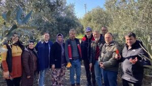 Antalya Serik’te meyve budama ve terbiye kursu verildi – Birlik Haber Ajansı