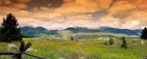 Hazineye Arazileri Sahiplerini Bekliyor