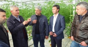 Kahta Gazeteciler Cemiyeti Kaymakamlığın Serasında İncelemelerde Bulundu